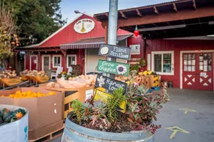 7610 Miller Ave, Gilroy, CA 95020 - Photo 38