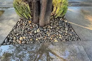 7610 Miller Ave, Gilroy, CA 95020 - Photo 10