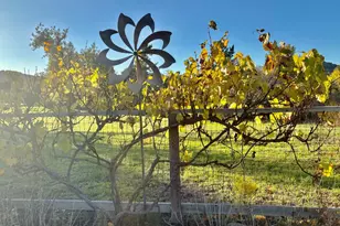 20120 Portola Dr, Salinas, CA 93908 - Photo 30