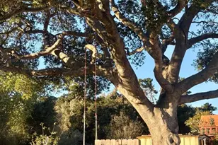 20120 Portola Dr, Salinas, CA 93908 - Photo 34