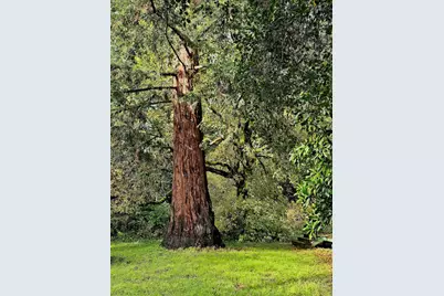 515 Lockhart Gulch Rd, Scotts Valley, CA 95066 - Photo 92