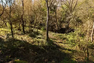 515 Lockhart Gulch Rd, Scotts Valley, CA 95066 - Photo 86