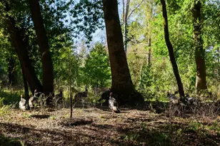 515 Lockhart Gulch Rd, Scotts Valley, CA 95066 - Photo 16