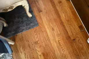 2563 Gumdrop Dr, San Jose, CA 95148 - Photo 6