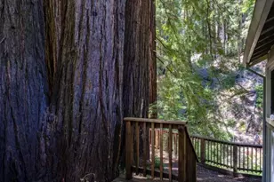 152 Lorenzo Ln, Boulder Creek, CA 95006 - Photo 28