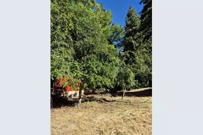 165 Coffeeberry Dr, Boulder Creek, CA 95006 - Photo 58