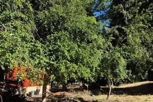 165 Coffeeberry Dr, Boulder Creek, CA 95006 - Photo 58