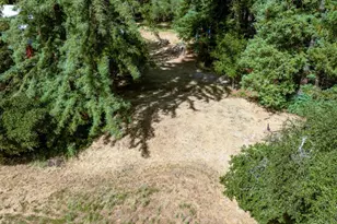 165 Coffeeberry Dr, Boulder Creek, CA 95006 - Photo 52