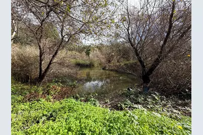 206 Gaffey Rd, Watsonville, CA 95076 - Photo 56