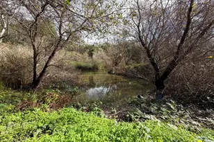 206 Gaffey Rd, Watsonville, CA 95076 - Photo 56