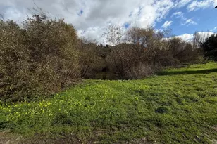 206 Gaffey Rd, Watsonville, CA 95076 - Photo 60