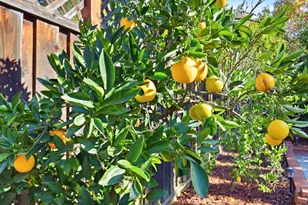 5948 Garlough Dr, San Jose, CA 95123 - Photo 54