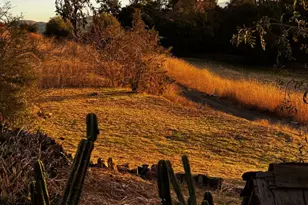 4234 Chaboya Rd, San Jose, CA 95148 - Photo 20