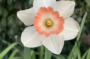 1152 Curtner Ave, San Jose, CA 95125 - Photo 42