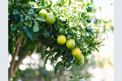 1139 Cape Cod Way, Salinas, CA 93906 - Photo 8