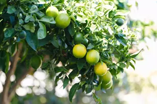 1139 Cape Cod Way, Salinas, CA 93906 - Photo 8