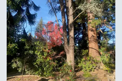 269 Selby Ln, Atherton, CA 94027 - Photo 22