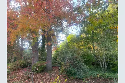 269 Selby Ln, Atherton, CA 94027 - Photo 32