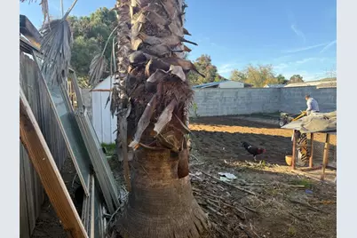 165 S 4th St, Shandon, CA 93461 - Photo 58