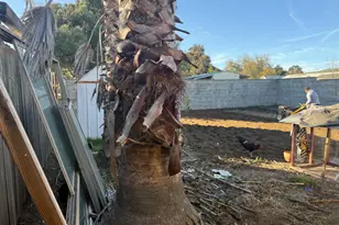 165 S 4th St, Shandon, CA 93461 - Photo 58