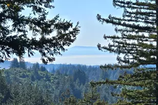 600 Ridge Top Rd, Los Gatos, CA 95033 - Photo 76