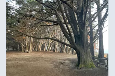 855 Sierra St, Moss Beach, CA 94038 - Photo 22