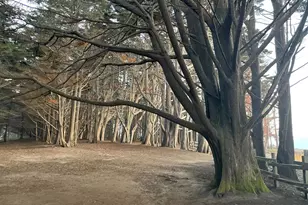 855 Sierra St, Moss Beach, CA 94038 - Photo 22