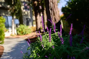 111 Bean Creek Rd 156, Scotts Valley, CA 95066 - Photo 62