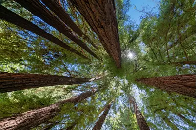 560 Hacienda Dr, Scotts Valley, CA 95066 - Photo 78