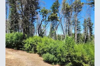 20604 Little Basin Rd, Boulder Creek, CA 95006 - Photo 4