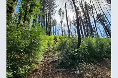 20604 Little Basin Rd, Boulder Creek, CA 95006 - Photo 18