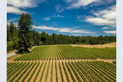 471 Country Estates Ter, Santa Cruz, CA 95060 - Photo 46