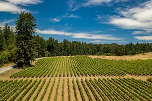 471 Country Estates Terrace, Santa Cruz, CA 95060 - Photo 46