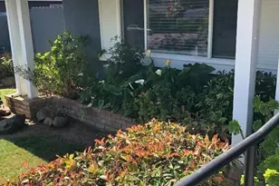 162 N Alamo Dr, Vacaville, CA 95688 - Photo 4