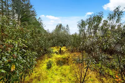 60 Braemoor Dr, Santa Cruz, CA 95060 - Photo 12