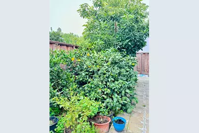 3637 Snell Ave 390, San Jose, CA 95136 - Photo 28
