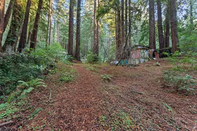 3936 Tunitas Creek Rd, Half Moon Bay, CA 94019 - Photo 4