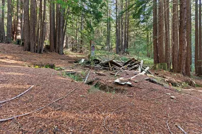 3936 Tunitas Creek Rd, Half Moon Bay, CA 94019 - Photo 20