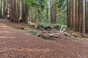 3936 Tunitas Creek Rd, Half Moon Bay, CA 94019 - Photo 20