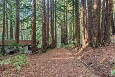 3936 Tunitas Creek Rd, Half Moon Bay, CA 94019 - Photo 16