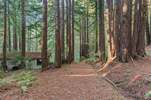 3936 Tunitas Creek Rd, Half Moon Bay, CA 94019 - Photo 16