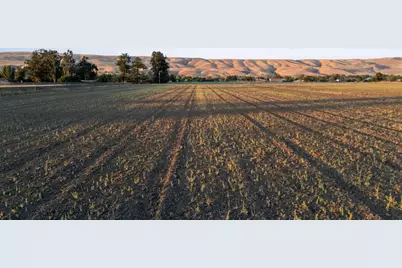 00 Palm Ave, Morgan Hill, CA 95037 - Photo 10