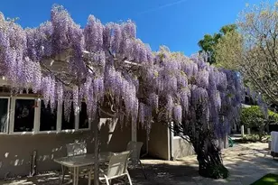 1100 Steinway Ave, Campbell, CA 95008 - Photo 50