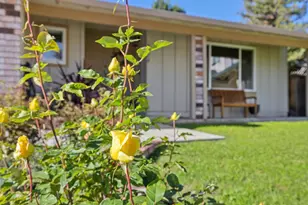 7020 Via Quito, Pleasanton, CA 94566 - Photo 4