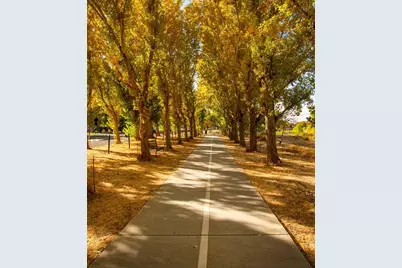 226 W Pasqua Gln, Mountain House, CA 95391 - Photo 6