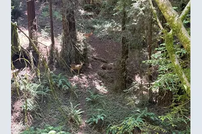 584 Hazel Dell Rd, Corralitos, CA 95076 - Photo 2