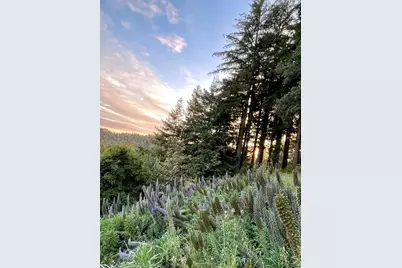 132 Pax Place Ct, Aptos, CA 95003 - Photo 46