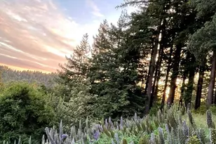 132 Pax Pl Ct, Aptos, CA 95003 - Photo 46