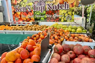 80 Wright Ave, Morgan Hill, CA 95037 - Photo 26