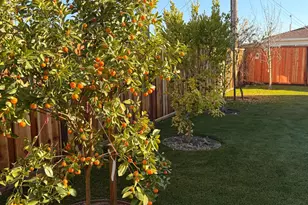 2121 Francis Ave, Santa Clara, CA 95051 - Photo 38